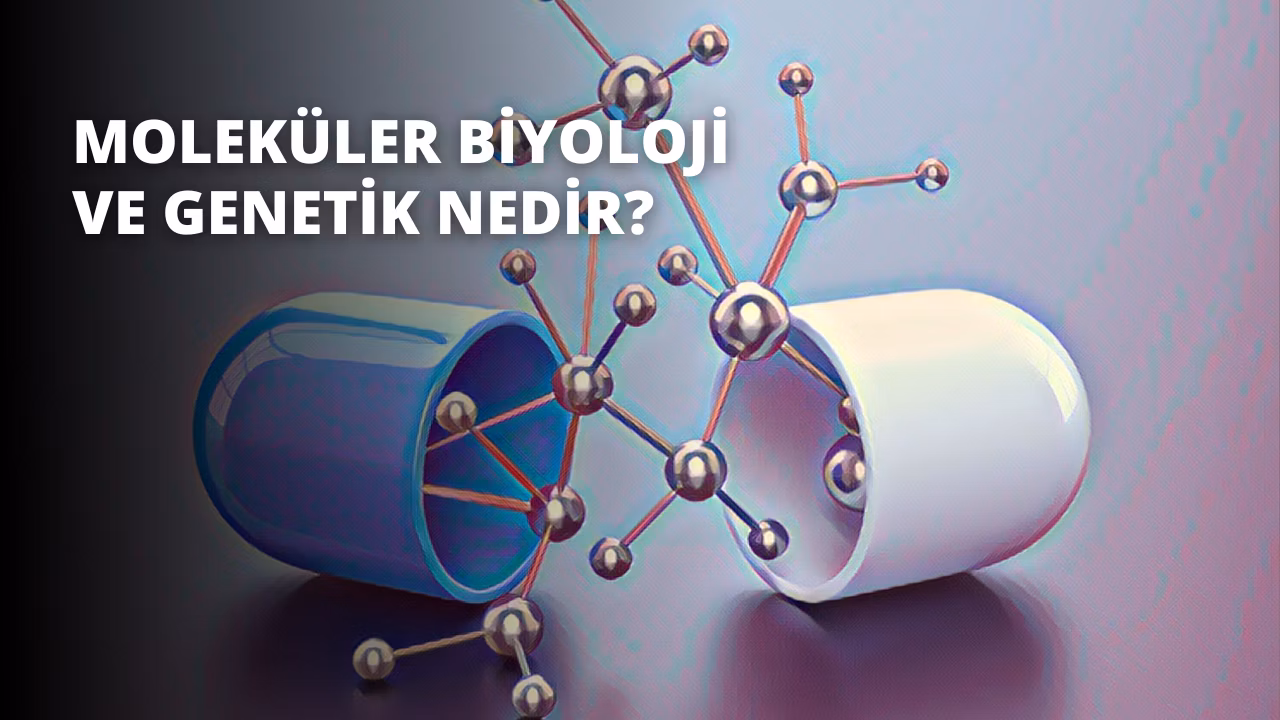 Türkiye’de En İyi Moleküler Biyoloji ve Genetik Üniversiteleri